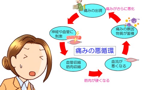 慢性肾炎可以吃猪腰吗