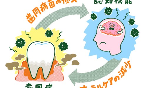 吃黄酮有什么用-吃黄酮的副作用网 - 为你提供吃黄酮的副作用有哪些、黄酮吃了会发胖吗